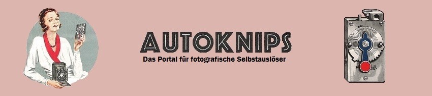 Autoknips